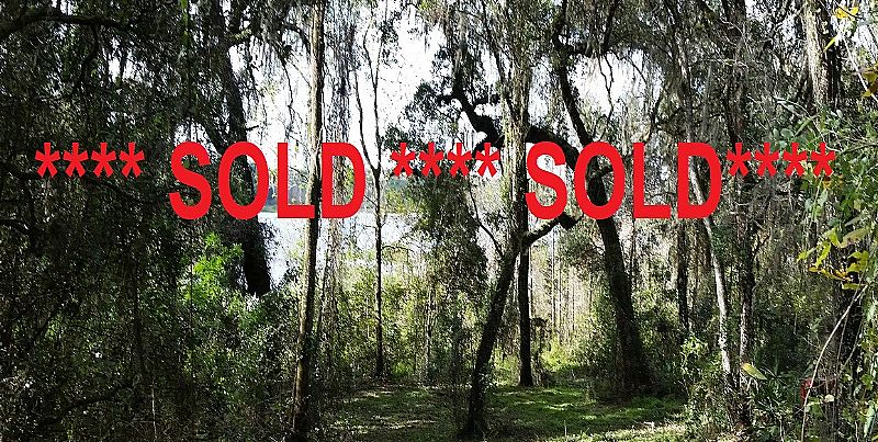 7.8 Acre Lakefront Homesite Huge Grandfather Oaks, Spring Lake Highway, Dade City Florida 33525 SOLD